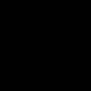 Meet your Posher, Daniela